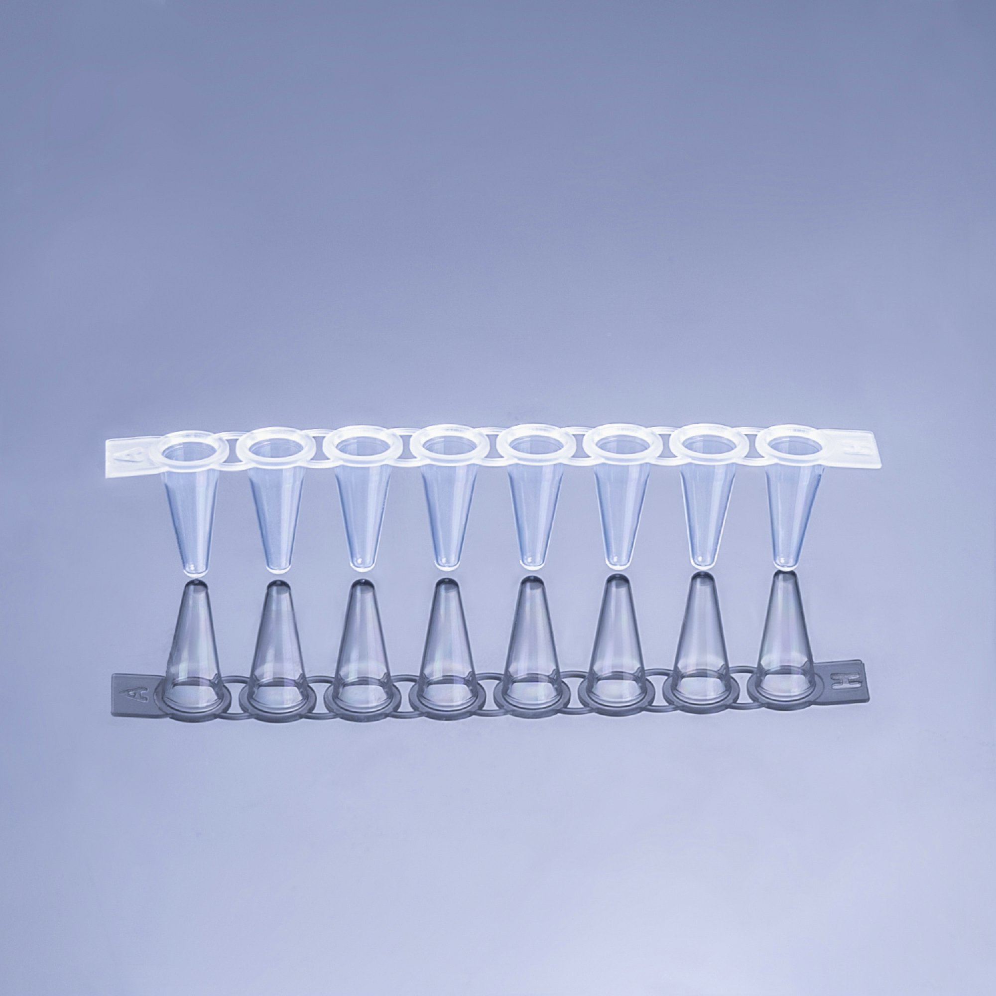 100μL，PCR 八連管、透明